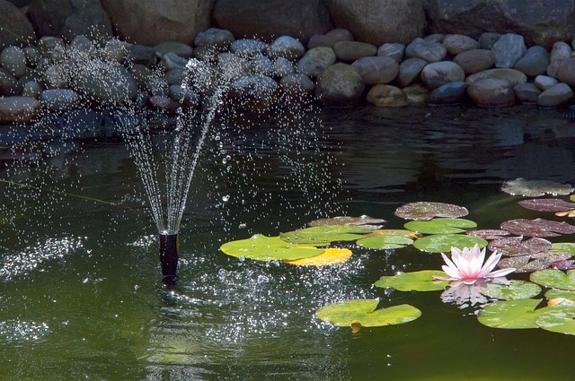 Wasserspielpumpe im Gartenteich