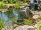 Mittelgroßer Gartenteich mit passender Teichpumpe, externem Filter und sichtbar abgestimmtem Wasserkreislauf