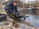 Teichbesitzer baut eine Teichpumpe vor dem Winter aus einem frostgefährdeten Gartenteich aus