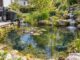Teichpumpe für Filterbetrieb und Bachlauf mit unterschiedlichen Förderwegen am Gartenteich